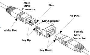 Precio y especificaciones del cable MPO buena calidad ycict