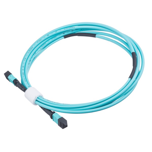 Ny vidiny sy ny fotoana nitarika ny F00MPMP01 Huawei patch cord